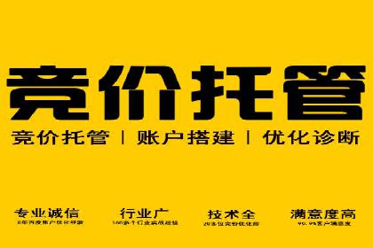 短视频平台的SEM推广实践与效果
